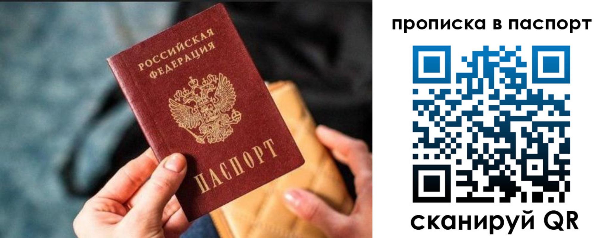 найти адрес прописки в Электрогорске